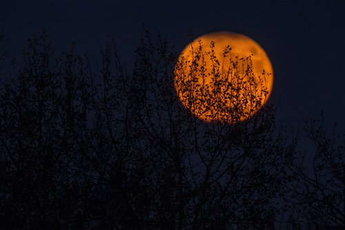 Full Moon ~ Throwing of the Bones Ceremony