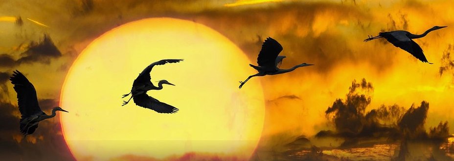 Solstice Ceremony • Throwing of the Bones