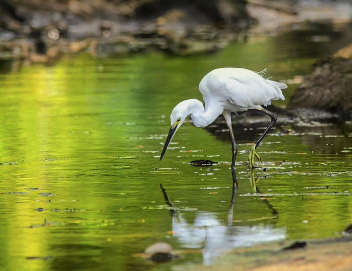 Touching Our Toes in Healing Waters