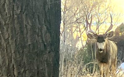 When the Worries Get Big