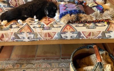 Healing Medicine: Lily & the Bones